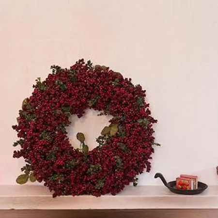 Monaco By Interhome Сasa de vacaciones Patiala